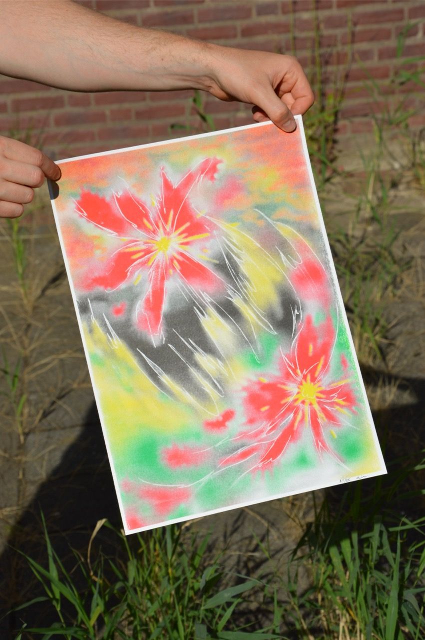 Fleurs Vulgaires risoprinted illustrations
