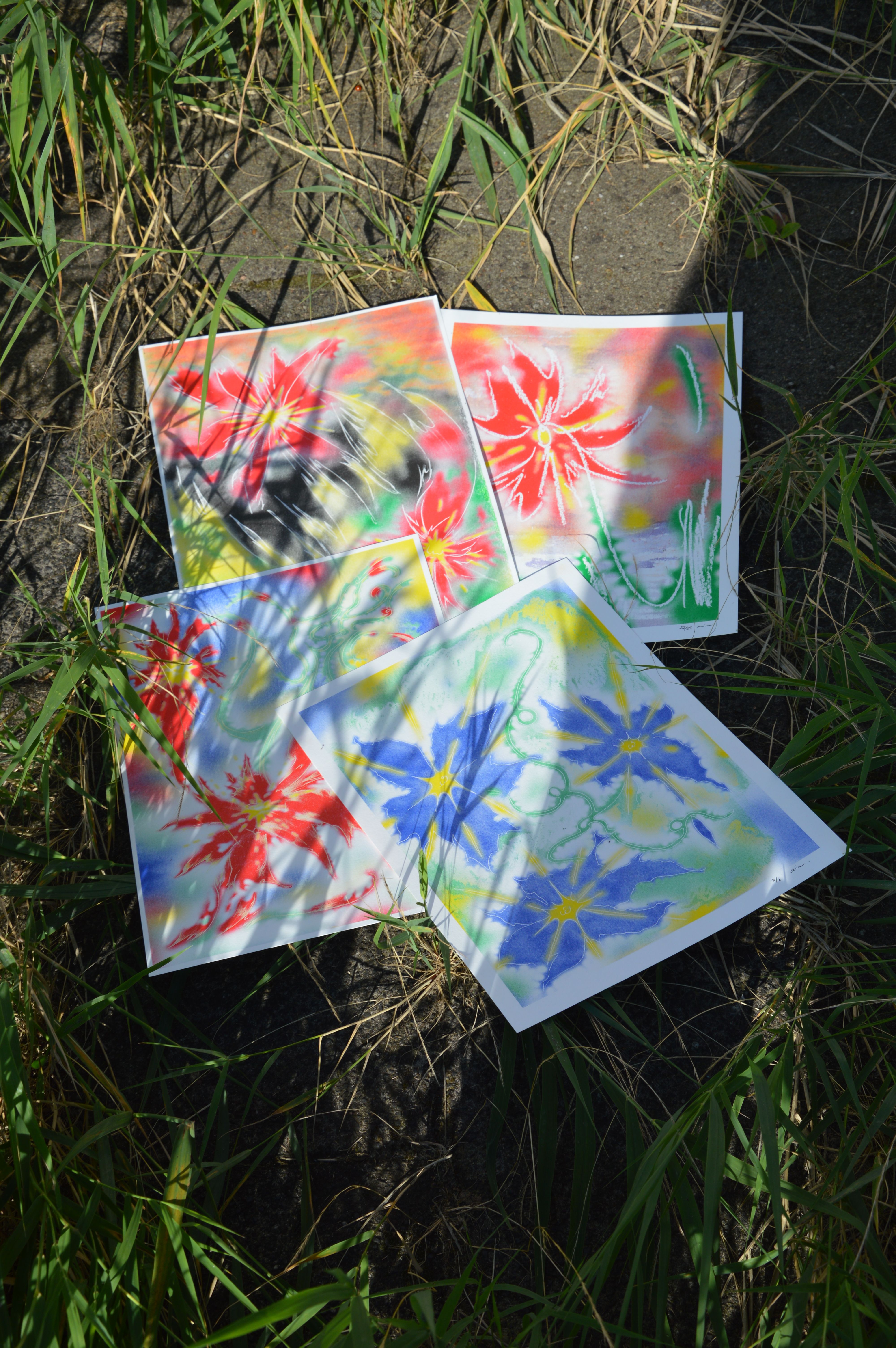 Fleurs Vulgaires risoprinted illustrations